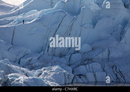 Ein Bergsteiger auf dem Matanuska Gletscher, Alaska. Stockfoto