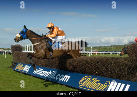 Ffos Las Rennstrecke in der Nähe von Trimsaran in Carmarthenshire. Stockfoto