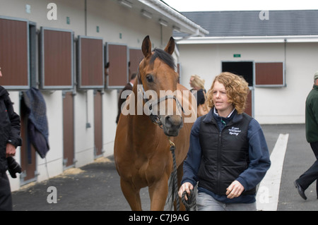 Ffos Las Rennstrecke in der Nähe von Trimsaran in Carmarthenshire. Stockfoto