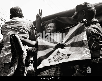 Pro-Tibet-Demonstrationen, Nepal, vor der Eröffnung der Olympischen Spiele in Peking im August 2008, Tausende von tibetischen Flüchtlingen Stockfoto