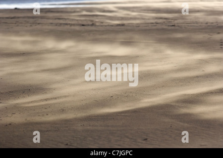 Wind bläst Sand über Castlerock Strand County Derry Londonderry Nordirland Vereinigtes Königreich Stockfoto