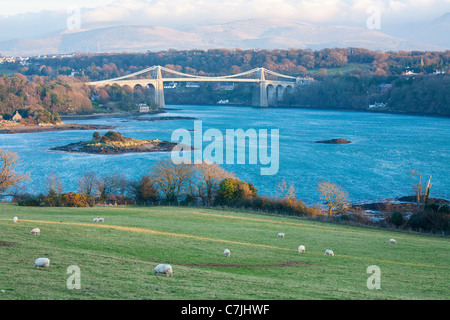 Menai Aufhebung-Brücke, Wales, UK Stockfoto