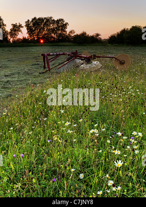 Ruderer-Maschine für das Heu machen im Norden Wiese Cricklade National Nature Reserve Stockfoto