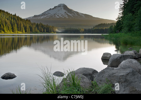 Mount Hood Reflexion über Trillium Lake Oregon bei Sonnenaufgang Stockfoto