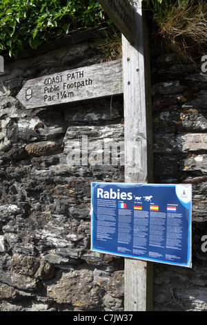 Schild Warnung vor Gefahr von Tollwut und Verordnungen in europäischen Sprachen im Dorf Polkerris, Cornwall, England Stockfoto