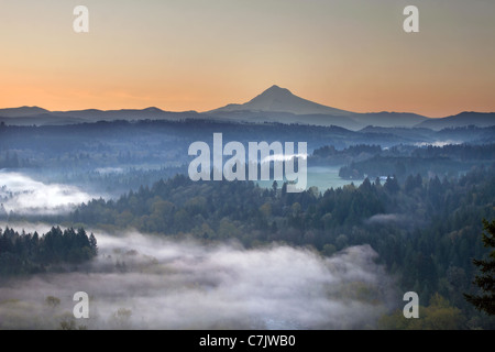 Nebligen Sonnenaufgang über Sandy River Valley und Mount Hood in Oregon Stockfoto