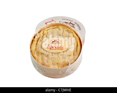 Epoisses de Bourgogne, AOC, ein stark riechenden, weichen, Kuhmilch, gewaschen Rinde französischer Käse. Charles Lupica Stockfoto