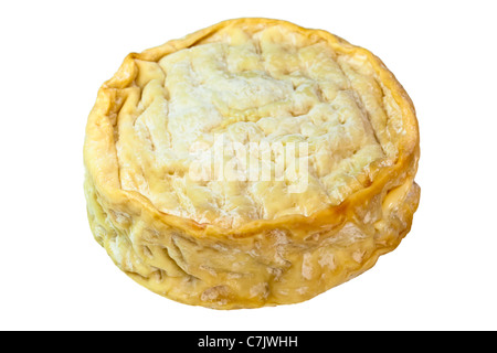 Epoisses de Bourgogne, AOC, ein stark riechenden, weichen, Kuhmilch, gewaschen Rinde französischer Käse. Charles Lupica Stockfoto