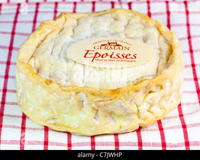 Epoisses de Bourgogne, AOC, ein stark riechenden, weichen, Kuhmilch, gewaschen Rinde französischer Käse. Charles Lupica Stockfoto