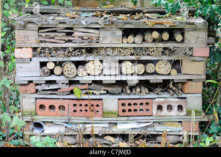 Fehler nach Hause gemacht mit alten Paletten, Nützlinge in einen Garten zu gewinnen Stockfoto