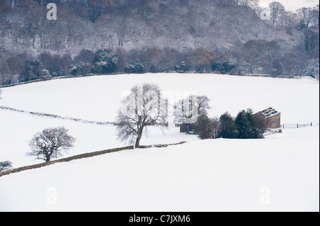 Blick auf das malerische, schneebedeckte, ländliche Tal am kalten, schneebedeckten Wintertag (verderbter Feldscheune, Wald, Hanghänge) - Yorkshire, England, Großbritannien Stockfoto