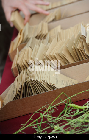 Der Great Seed Swap fand in der Millennium Seed Bank von RBG Kew am Wakehurst Place, West Sussex, statt. September 2011. Stockfoto