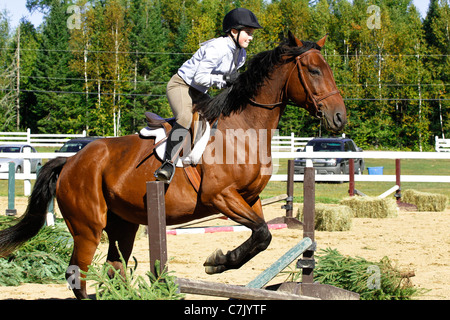 Junges Mädchen auf Bucht Pferd springt über eine Cross Schiene bei einem Reitturnier in Ontario, Kanada Stockfoto