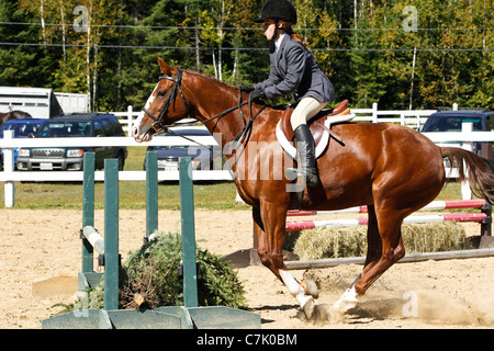 Junges Mädchen auf einem Kastanien Sauerampfer Pferd zieht, einen grüne Zaun an einem Reitturnier in Ontario, Kanada an einem heißen Sommertag zu springen Stockfoto