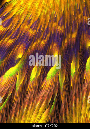 Abstrakten Federn mit dem Apophysis-Computer-Programm erstellt Stockfoto