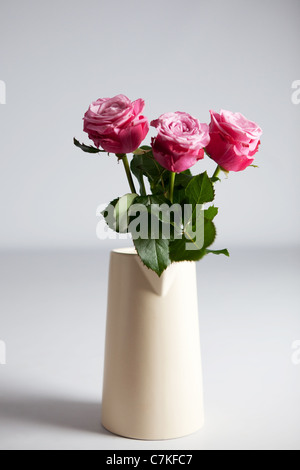 Drei Rosa Rosen platziert in einer farbigen Sahnekännchen Stockfoto
