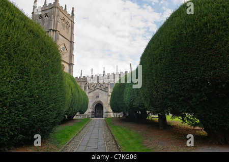 Eibe von Bäumen gesäumten Weg, Str. Marys Kirche, Calne, Wiltshire. Stockfoto