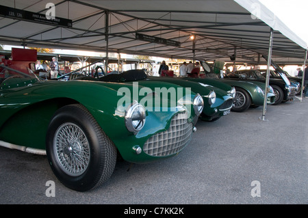 Linie der klassischen Aston Martins im Fahrerlager in Goodwood Stockfoto