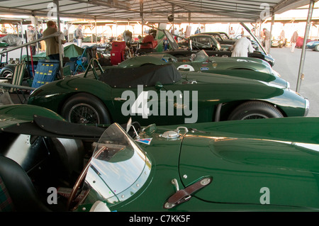 Linie der klassischen Aston Martins im Fahrerlager in Goodwood Stockfoto