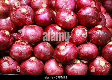 Geerntete rote Zwiebeln im Hintergrund Stockfoto