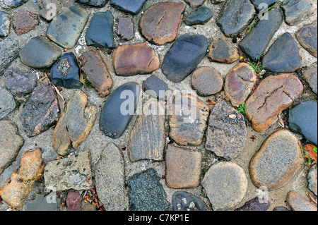 Asphaltierte Straße gemacht von Pflastersteinen, Frankreich Stockfoto