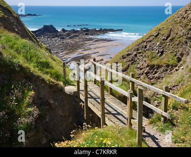 Kleine Holzbrücke mit dem South West Coast Path über den kleinen Bach an Stanbury Mündung in der Nähe von Morwenstow North Cornwall Stockfoto