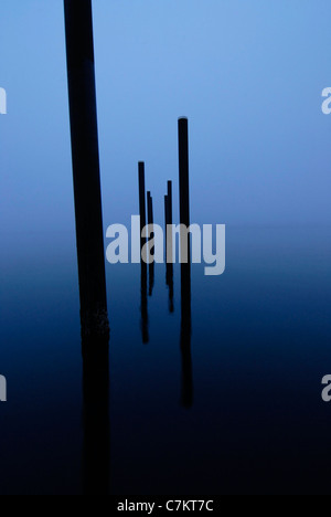 Pfähle im Nebel Stockfoto