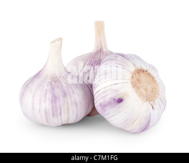 Knoblauch, isoliert auf weißem Hintergrund Stockfoto