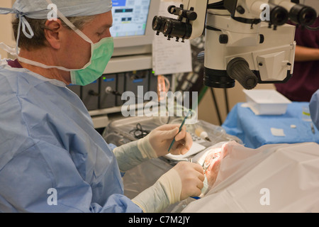 Augenarzt, Katarakt-Operation durchführen Stockfoto