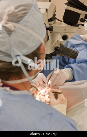 Augenarzt, Katarakt-Operation durchführen Stockfoto