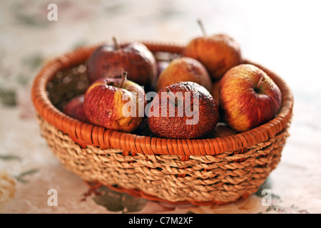 faule Äpfel Korb Stockfoto