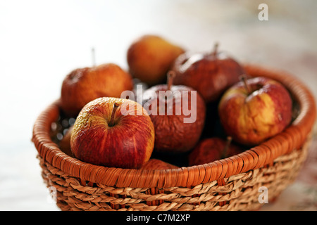 faule Äpfel Korb Stockfoto