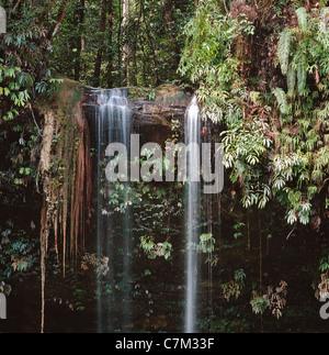 Dschungel-Wasserfall, Mulu Nationalpark, Sarawak, Borneo, Ost-Malaysia Stockfoto