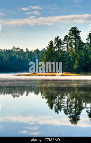 Einer der Seen auf die Mogollon Rim von Zentral-Arizona rund 7700 Füßen ist es der Ort, um im Sommer sein. Stockfoto