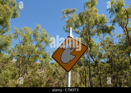 Koala Schild, Picnic Bay, Magnetic Island, Queensland, Australien Stockfoto