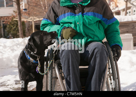 Frau mit Multipler Sklerose in einem Rollstuhl mit einem Servicehund Stockfoto