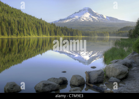 Mount Hood Reflexion über Trillium Lake am Morgen Stockfoto