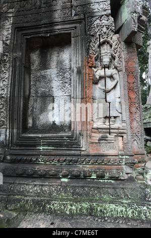 Ta Prohm Tempel, Angkor, Kambodscha Stockfoto