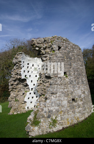 Außenseite der Taubenschlag Oxwich Schloss, Gower Halbinsel Stockfoto