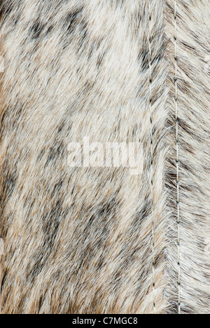 Tierfell Textur Stockfoto