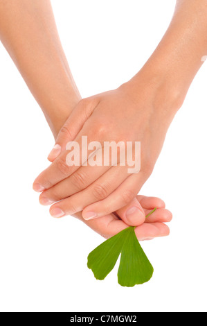 Hände der jungen Frau mit Ginkgo-Blatt - isoliert - Homöopathie Stockfoto