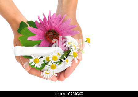 Junge Frau mit Mörtel mit Kräutern – Echinacea, Ginkgo, Kamille - isoliert Stockfoto