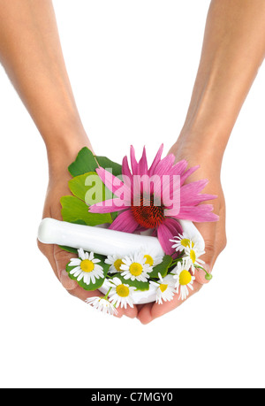 Junge Frau mit Mörtel mit Kräutern – Echinacea, Ginkgo, Kamille - isoliert Stockfoto