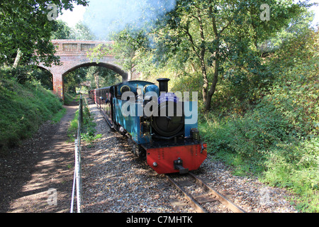 Bure Valley Railway 21. Jahrestag Dampf Gala September 2011 Wroxham Broad Stockfoto