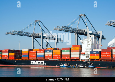 Containerschiff im Hafen von Rotterdam. Stockfoto