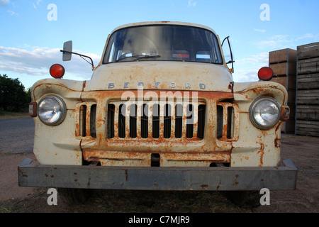 Alten Bedford-Pickup-Truck auf einer Obstplantage in Australien Stockfoto