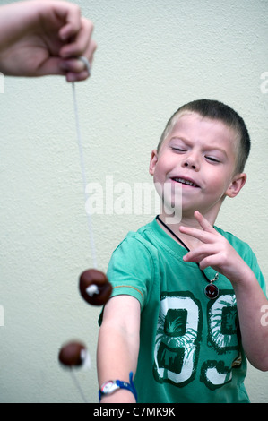 Junge spielt Conkers, Kastanie, Conkers, Ausschnitt, Spiel, Hand, Besitz, Pferd, Rosskastanie, isoliert, Herausforderung, junge, Kind, Stockfoto