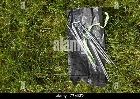 Beutel mit Heringen liegen auf dem Rasen Stockfoto