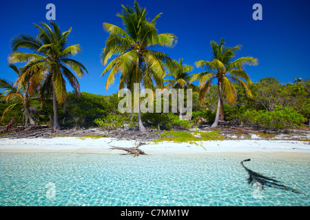 Lee Stocking Island Beach, Exumas, den Bahamas, Caribbean Stockfoto