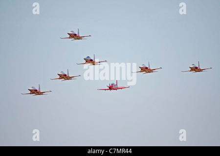 Patrouille Suisse aerobatic Anzeige Mannschaft in ihren F-5E Tiger II Flugzeuge Stockfoto